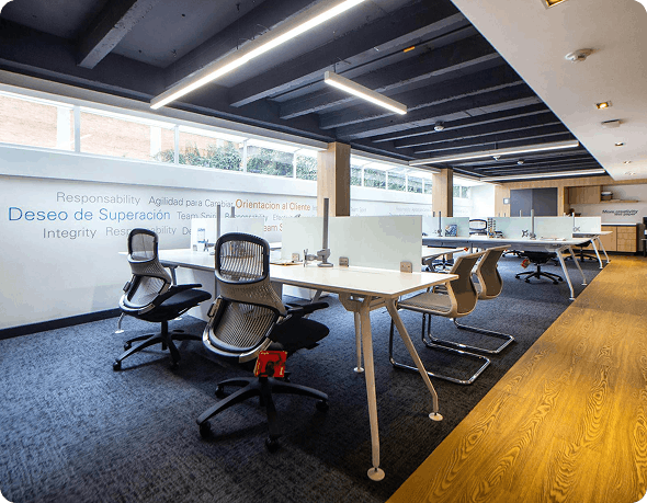 Commercial Office Renovation Built for Business Operations